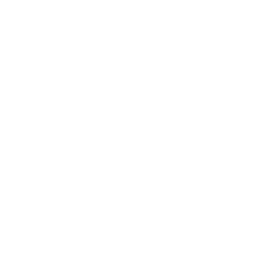 Visionary Initiatives